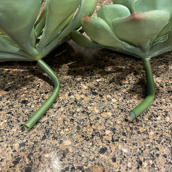 Pottery Barn Succulent Stems set of two - Picture 2 of 2